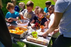 IMG_20220514_141912710_HDR-1152x1536